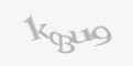 Захисний код